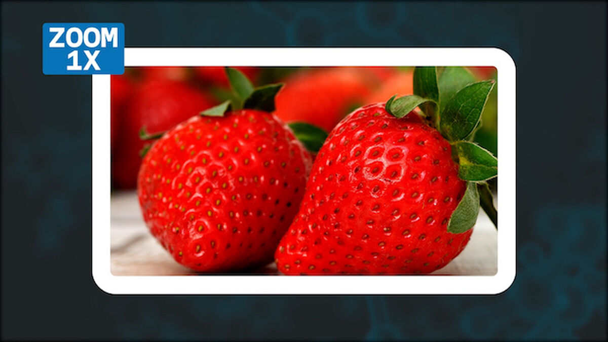 Micro Scoped Food Edition image number null